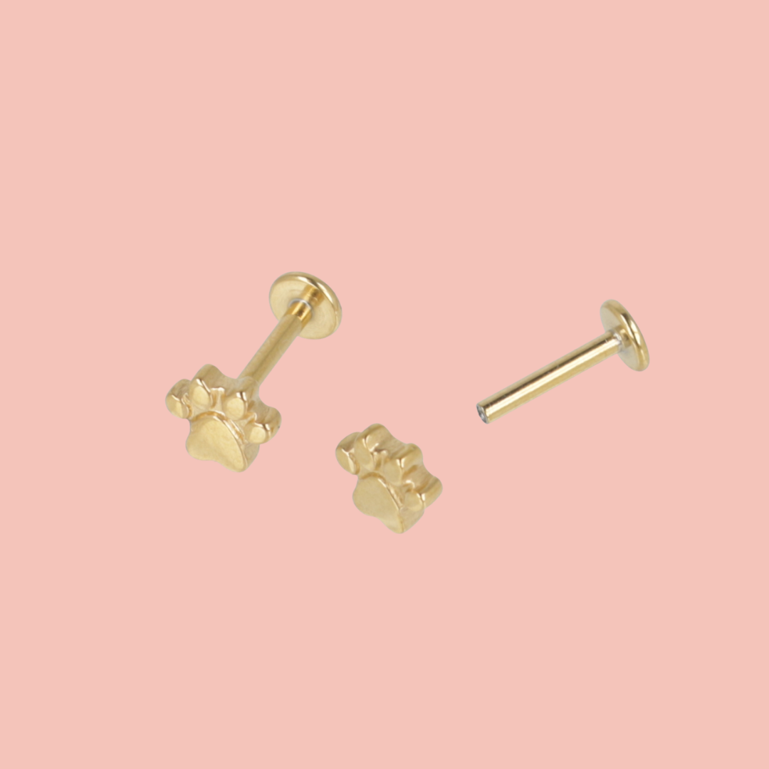 Screw On Paw Stud Earrings (Gold Plated)
